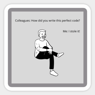 Programmer meme | I Stole Code | Gift For Developer Sticker